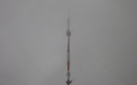Trübnis